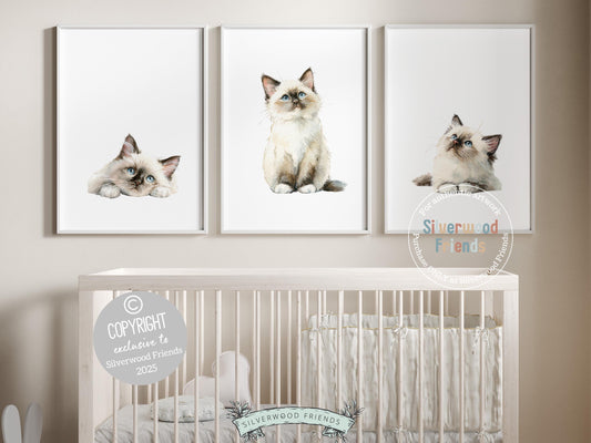 Add a touch of feline charm to your space with this adorable set of 3 Ragdoll kitten prints—perfect for cat-themed nursery decor or any cat lover’s gallery wall. Featuring soft watercolor details and sweet expressions, these prints bring warmth, whimsy, and a cozy cuddly feel to any room.