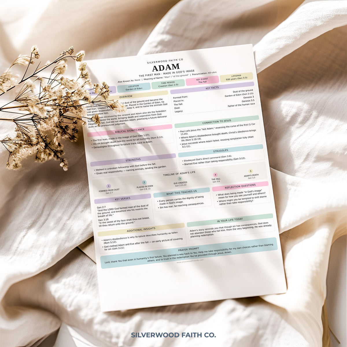 Adam names and traits instant download printable guide — soft color-blocked Bible character worksheet for connect groups and Christian learning