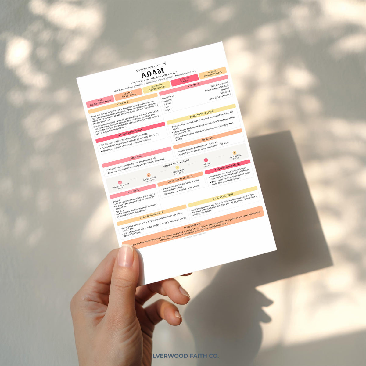 Bible character study printable art featuring Adam's story with soft pink and coral headers for faith-based learning