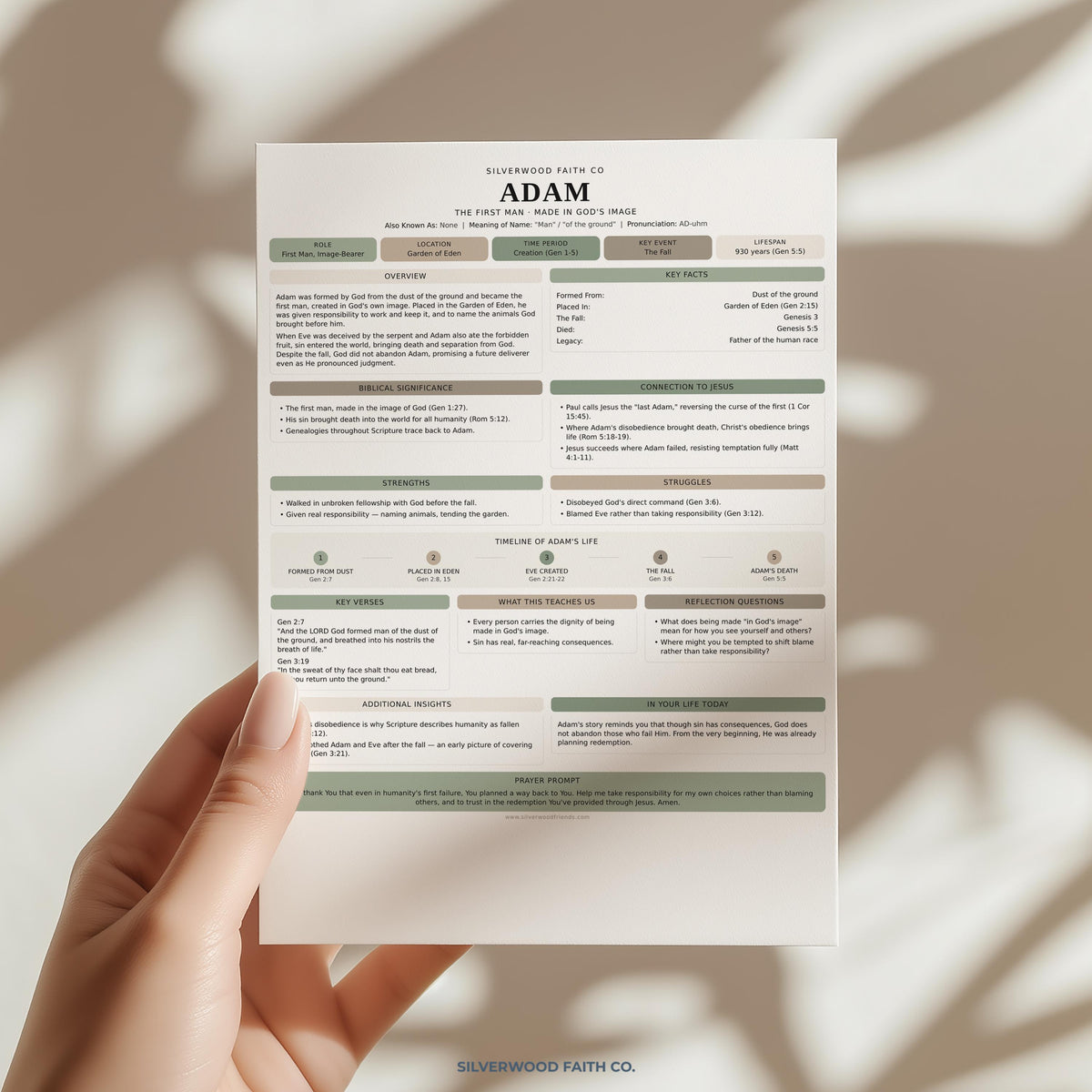 Adam summary sheet digital print for faith-based learning spaces — minimalist character study with cream and muted green palette