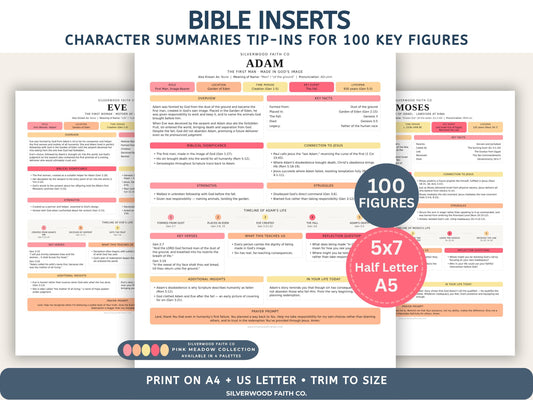 Bible Character Study Inserts: Tips Ins Summaries for 100 Biblical Figures, PDF Printable, PINK MEADOW (Digital Download) 518