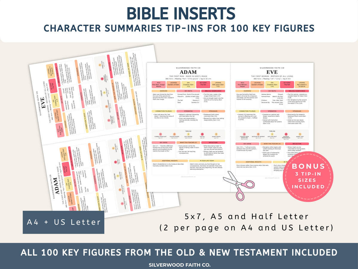 Bible Character Study Inserts: Tips Ins Summaries for 100 Biblical Figures, PDF Printable, PINK MEADOW (Digital Download) 518