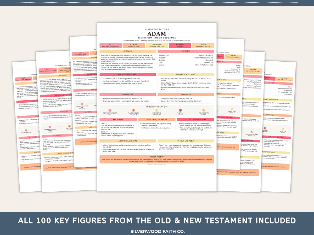 Bible Character Study Inserts: Tips Ins Summaries for 100 Biblical Figures, PDF Printable, PINK MEADOW (Digital Download) 518