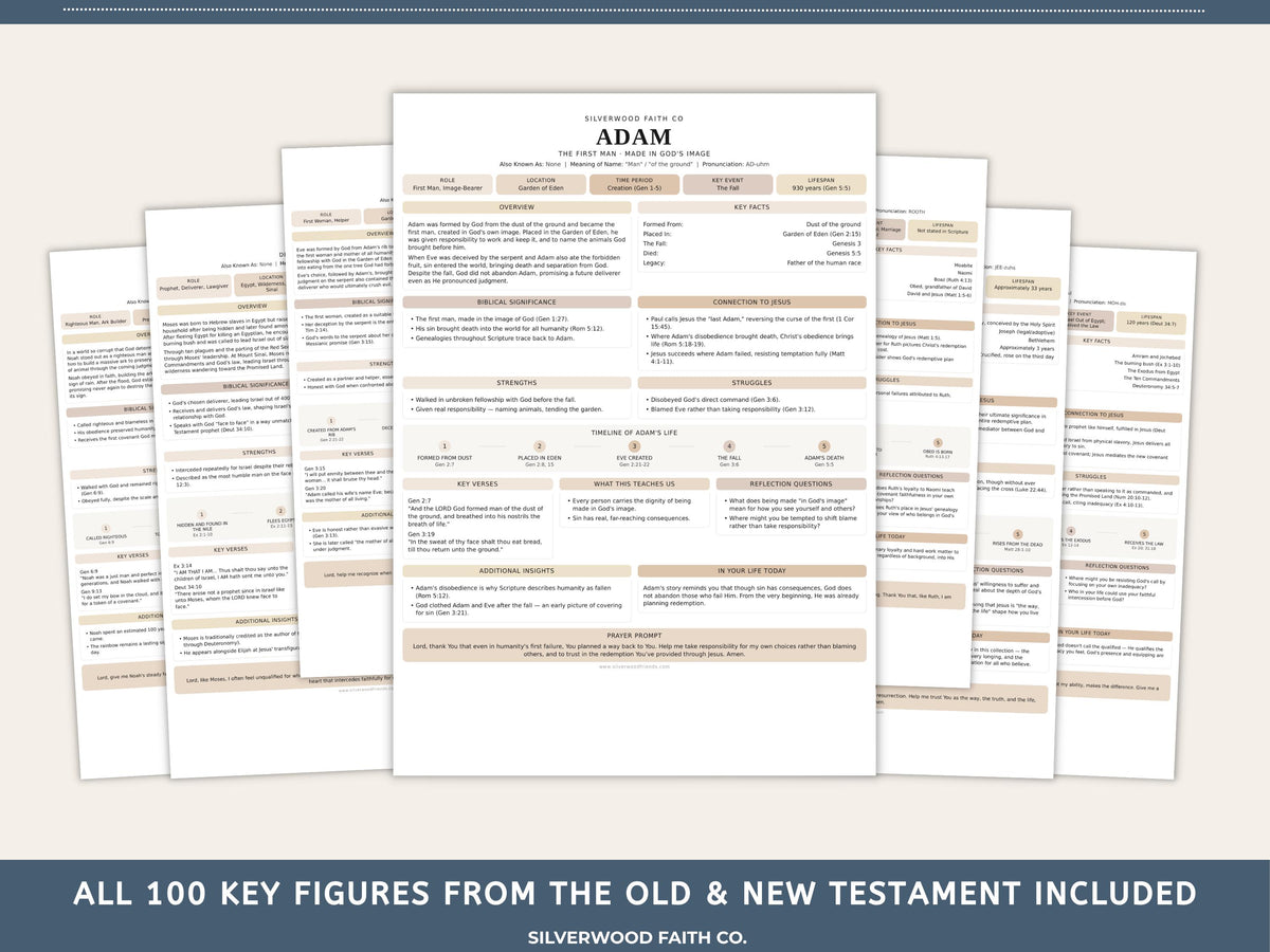 Bible Character Study Inserts: Tip Ins Summaries for 100 Biblical Figures, PDF Printable, CASHMERE (Digital Download) 516