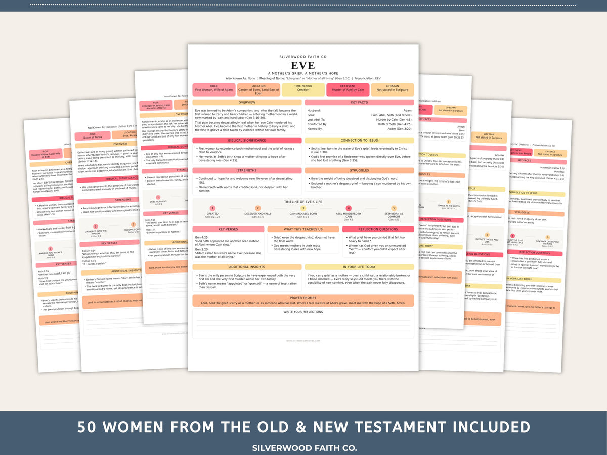 50 Women of the Bible Character Summary Inserts, Women of the Bible Tips Ins, Printable PDF, PINK MEADOW (Digital Download) 523