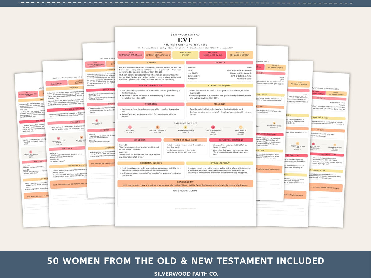 50 Women of the Bible Character Summaries Bundle, Women of the Bible Study Guide, Printable PDF, PINK MEADOW (Digital Download) 523