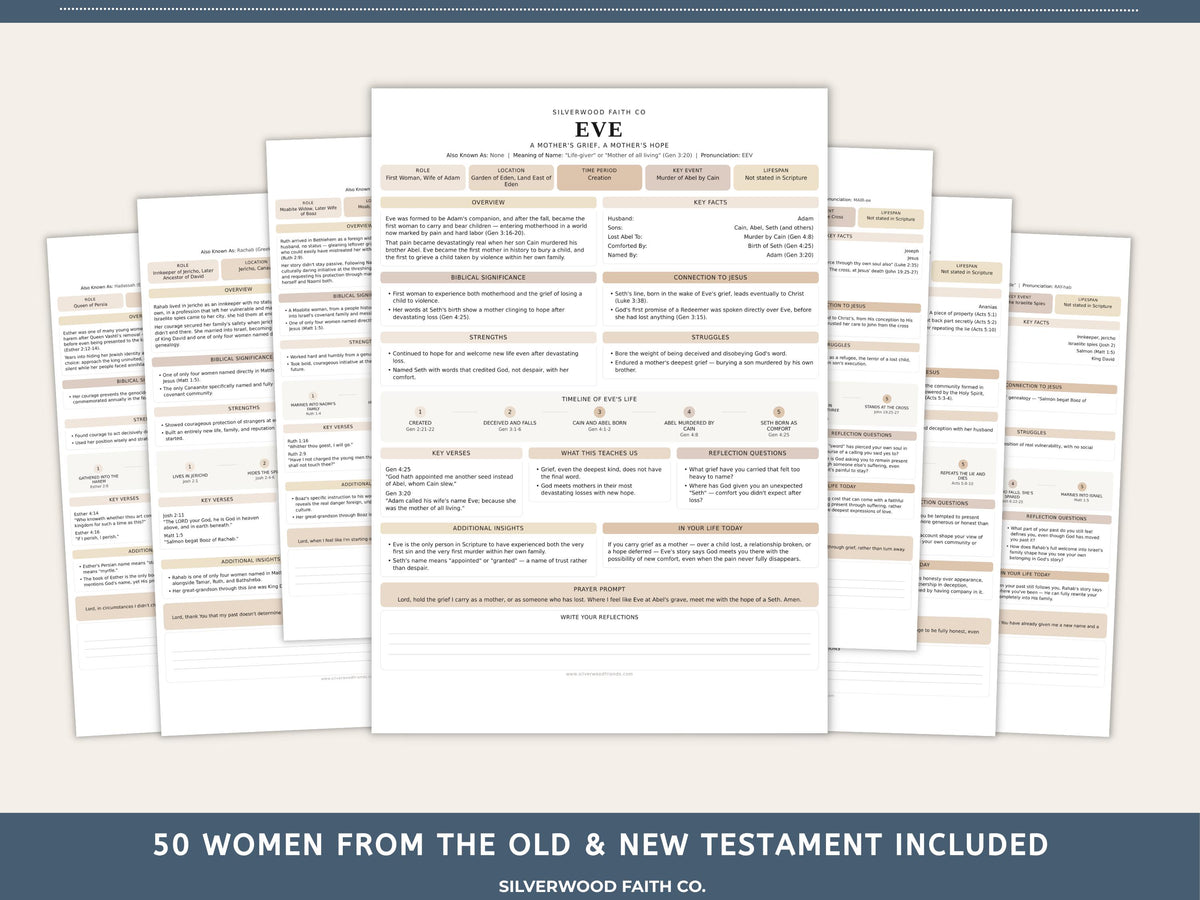 50 Women of the Bible Character Summaries Inserts, Women of the Bible Tip Ins, Printable PDF, CASHMERE FIELDS (Digital Download) 522