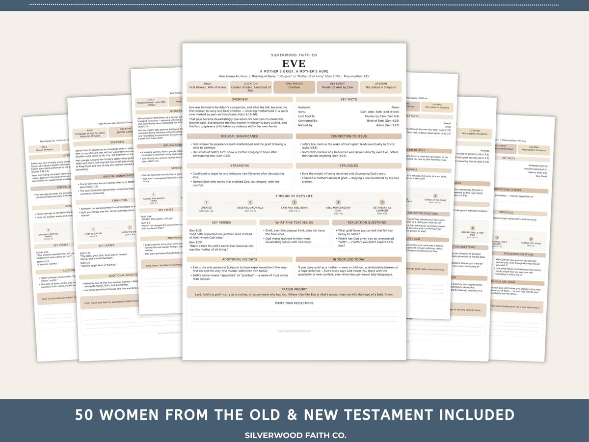 50 Women of the Bible Character Summaries Bundle, Women of the Bible Study Guide, Printable PDF, CASHMERE FIELDS (Digital Download) 522