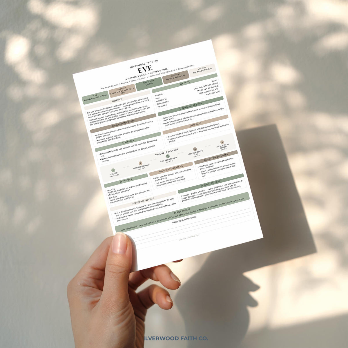 50 Women of the Bible Character Summary Inserts, Women of the Bible Tip Ins, Printable PDF, SAGE BOTANICAL (Digital Download) 520