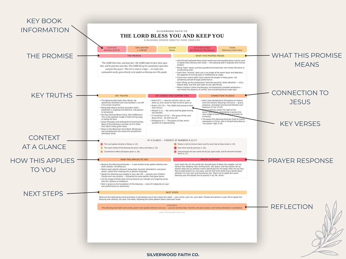 Biblical Promises Summaries: 50 Promises that God Makes and Keeps, Gods Promises Printable PDF, PINK MEADOW (Digital Download) 526