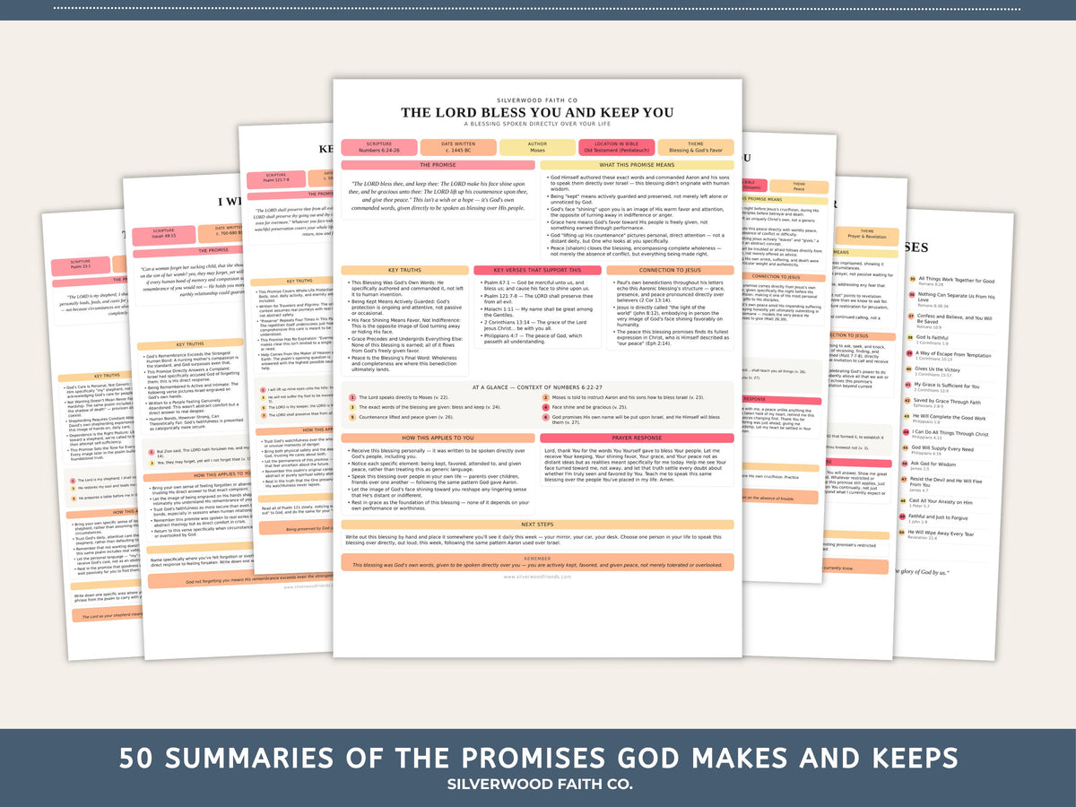 Biblical Promises Summaries: 50 Promises that God Makes and Keeps, Gods Promises Printable PDF, PINK MEADOW (Digital Download) 526