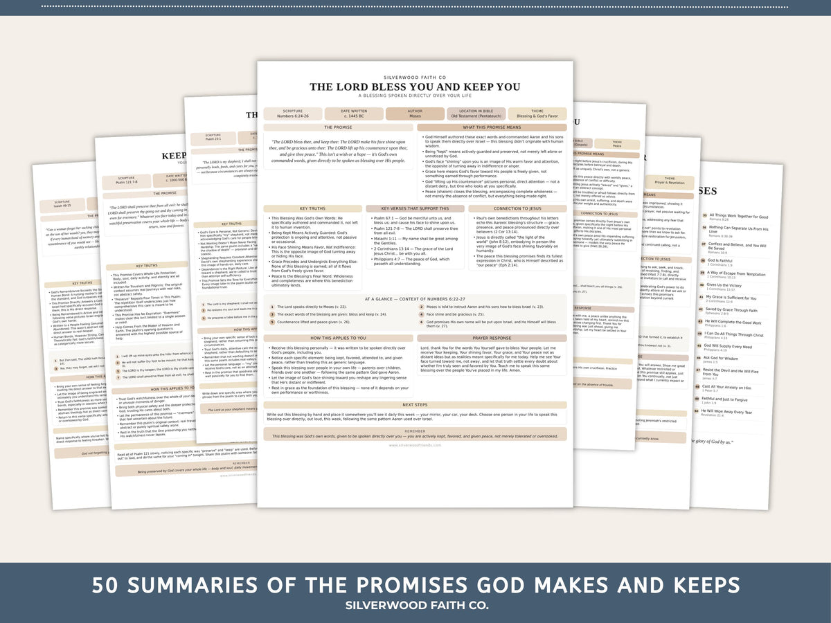 Biblical Promises Summaries: 50 Promises that God Makes and Keeps , Printable Bible Study Worksheet, CASHMERE FIELDS (Digital Download) 524