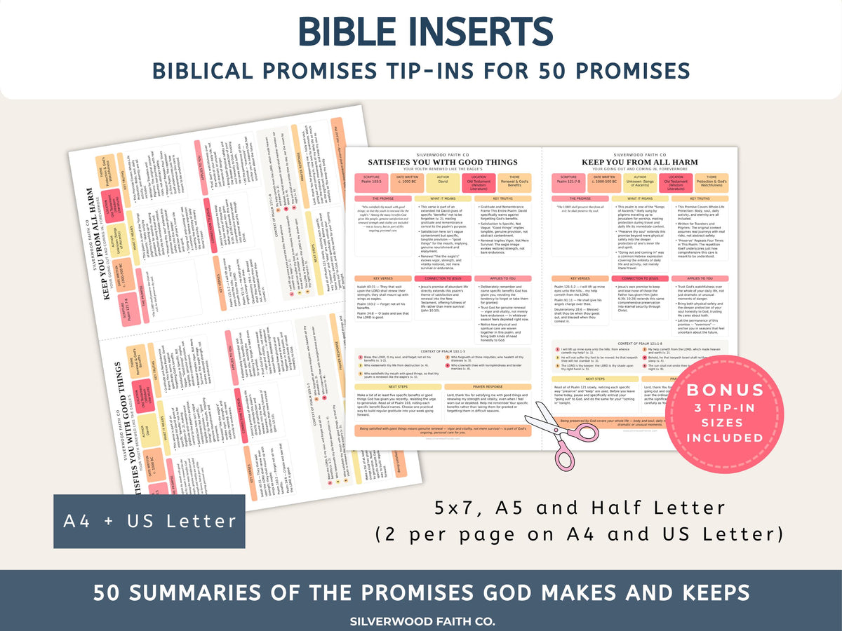 Bible Inserts Biblical Promises Summaries: 50 Promises that God Makes and Keeps, Bible Study Tip Ins, PINK MEADOW (Digital Download) 526