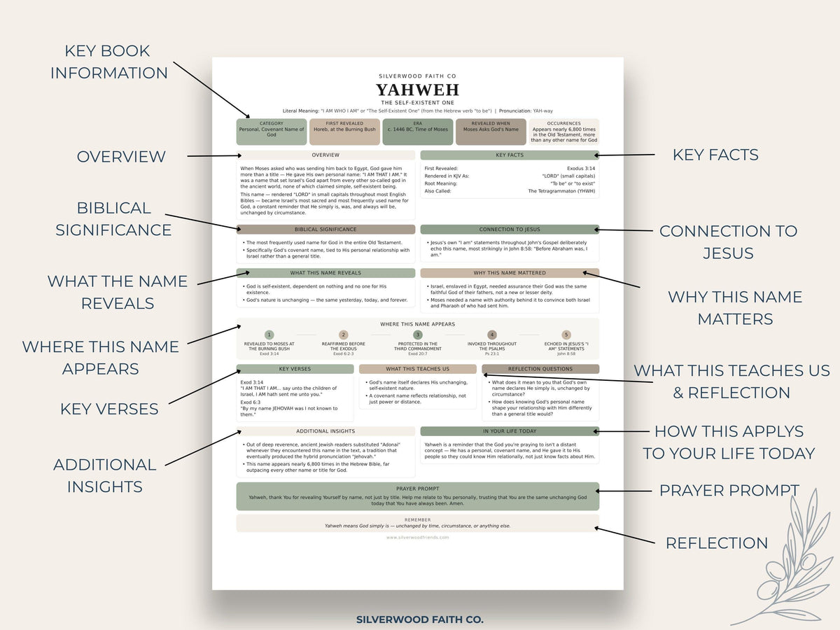 Bible study guide picture with organized sections — soft sage aesthetic educational design for faith-based homeschool