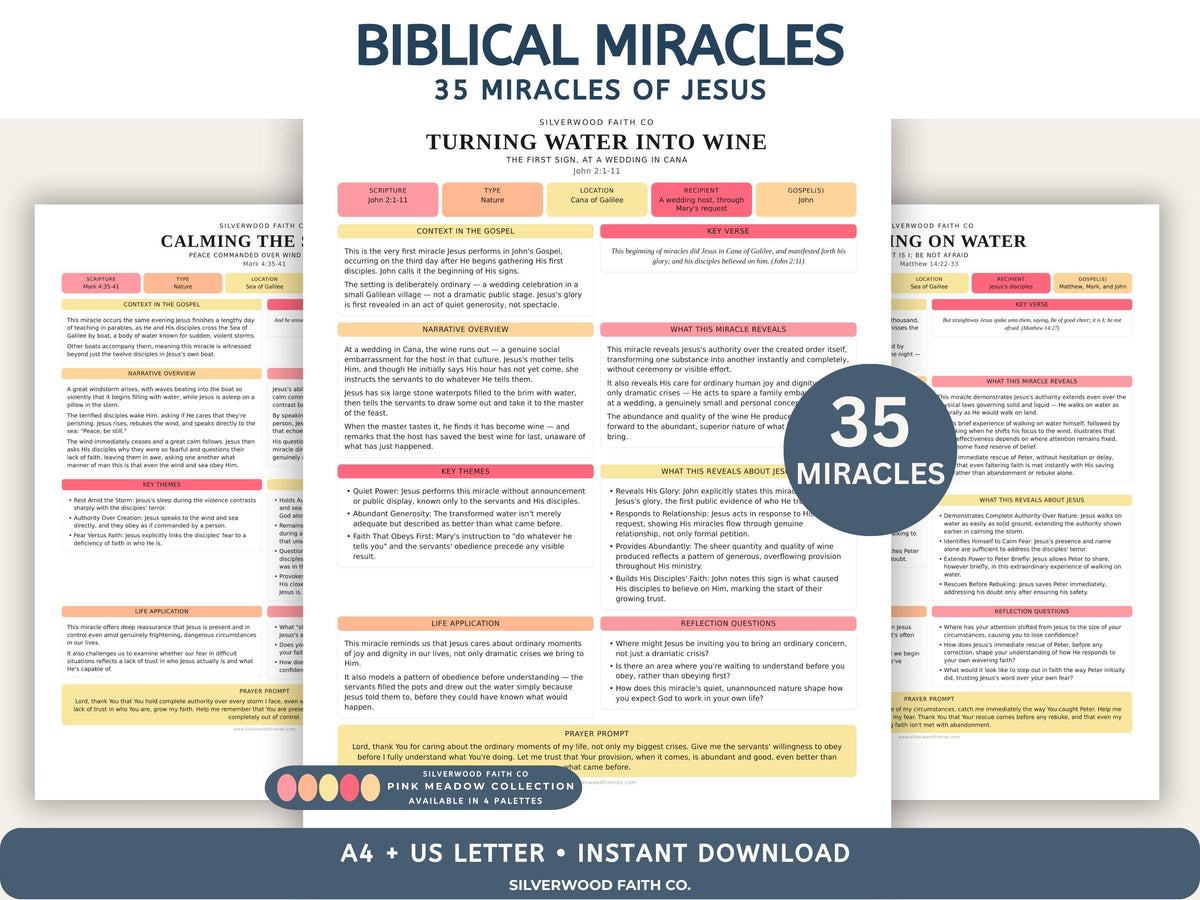 35 Miracles of Jesus Bundle Series, Bible Study Printable, Christian Lesson Posters, Sunday School, PINK MEADOW (Digital Download) 554