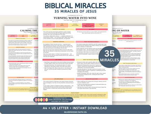 35 Miracles of Jesus Bundle Series, Bible Study Printable, Christian Lesson Posters, Sunday School, PINK MEADOW (Digital Download) 554