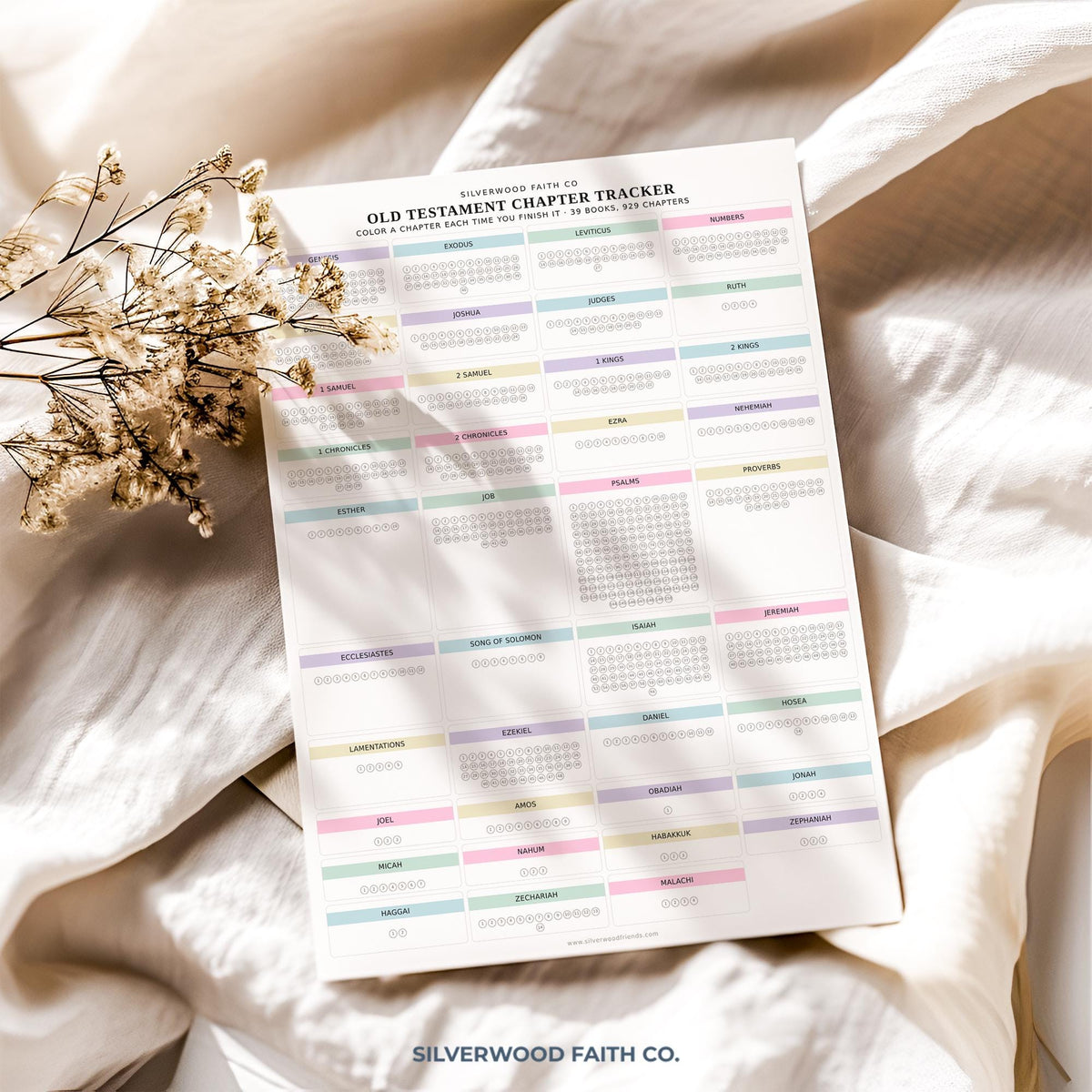 Scripture reading progress poster for devotional planning — minimalist digital print featuring color-coded book tabs and tracking grid