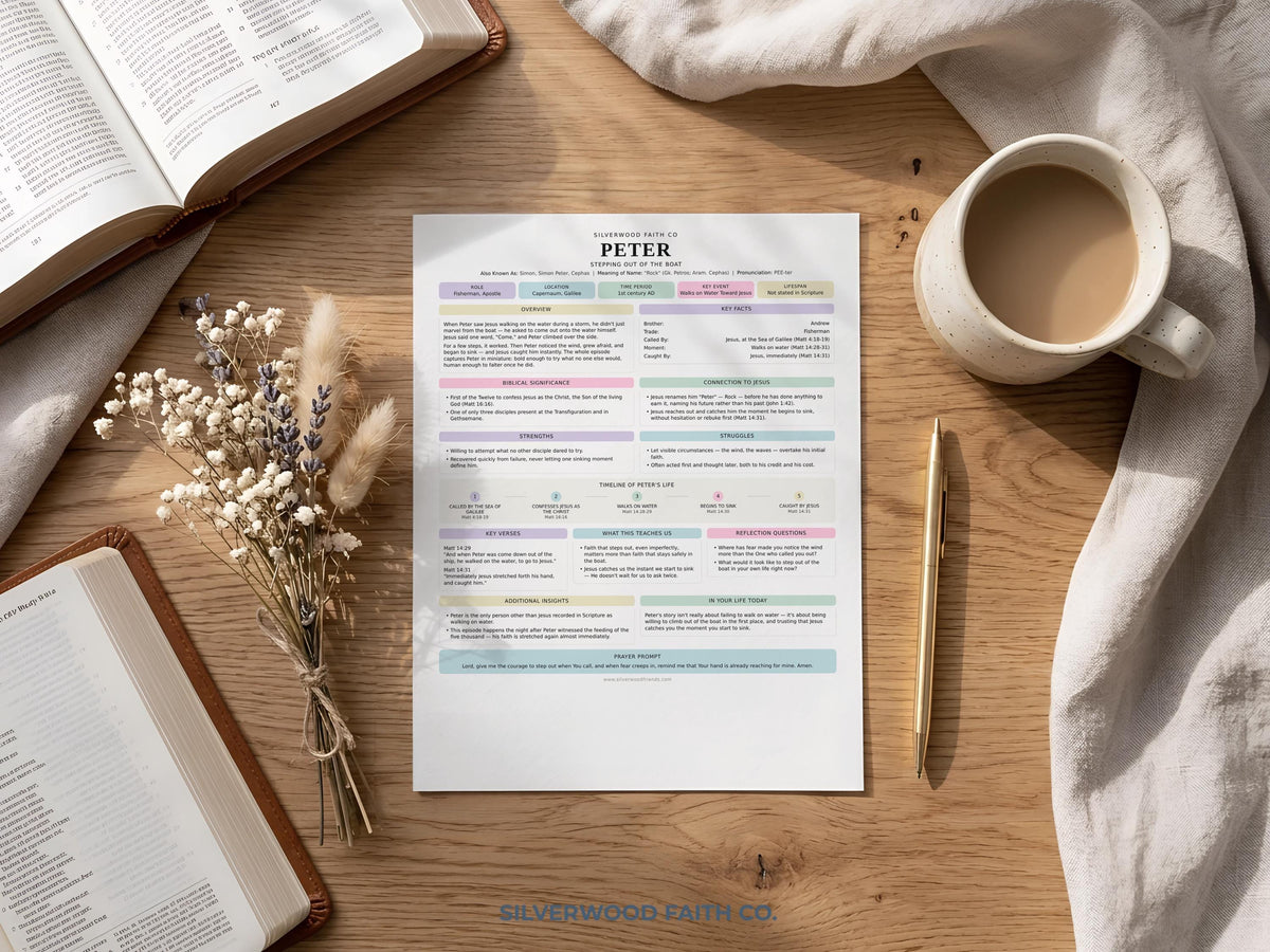 Apostle study guide poster for Bible journaling — modern educational design with color-coded learning sections in pastels