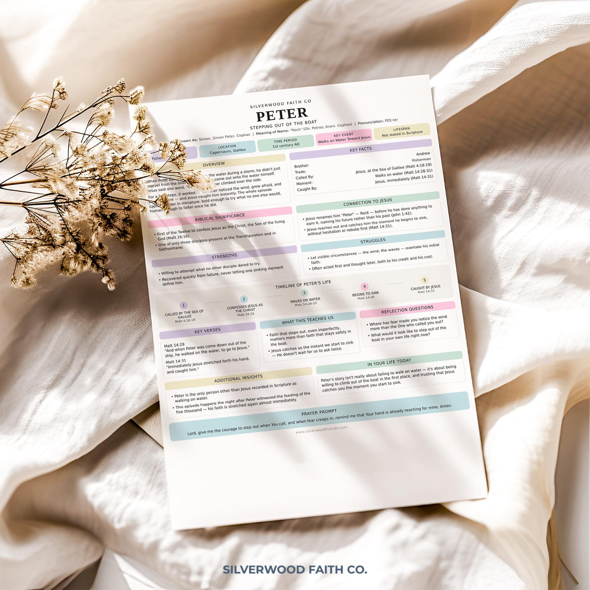 Sunday school lesson printable art featuring Peter — structured worksheet with soft color palette and contemporary feel