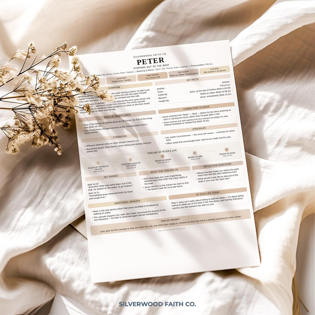 New Testament character summaries digital wall art featuring Peter with guided reflection questions and scripture references in cozy aesthetic
