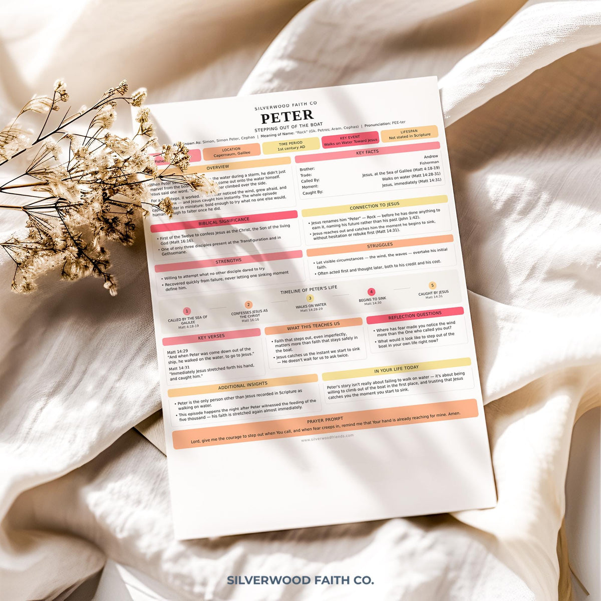 Disciples of Jesus poster art for Bible journaling — Peter character summary in contemporary layout with coral pink yellow tones