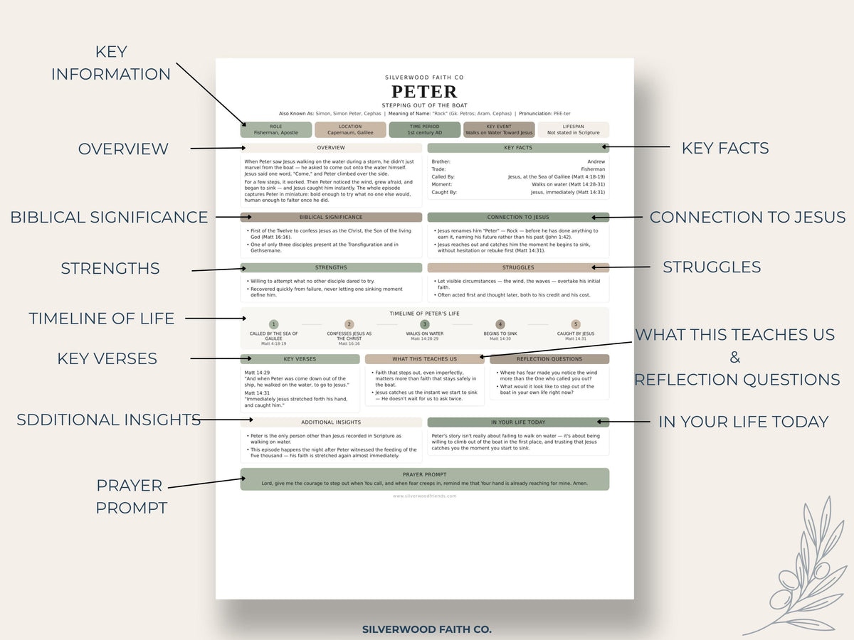 Disciples of Jesus Bible Study Guide, 12 Apostles, Jesus' Disciples Bible Character Study, Sunday School Worksheet,Sage(Digital Download)573