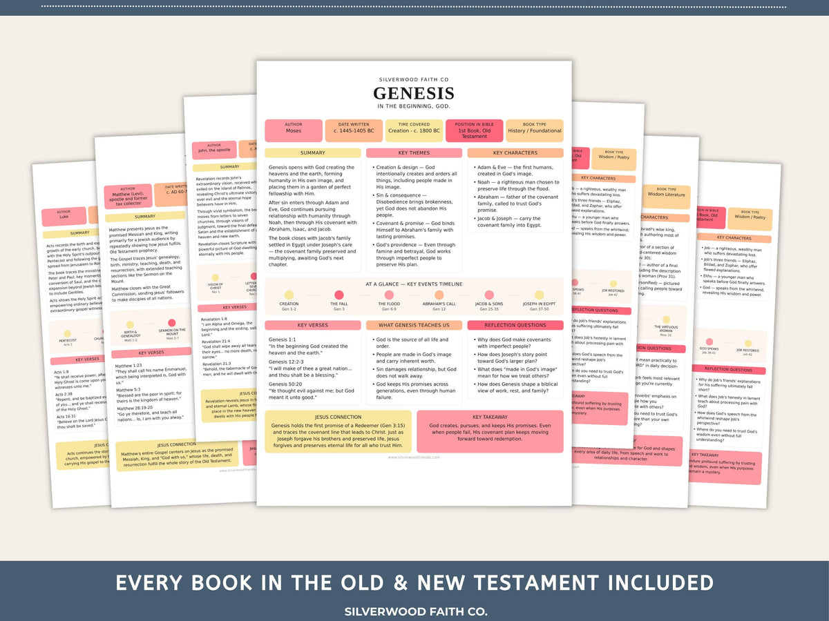 Bible Study Guide, Summaries for All 66 Books of the Bible, Bible Book Summaries, Printable PDF, PINK MEADOW (Digital Download) 497