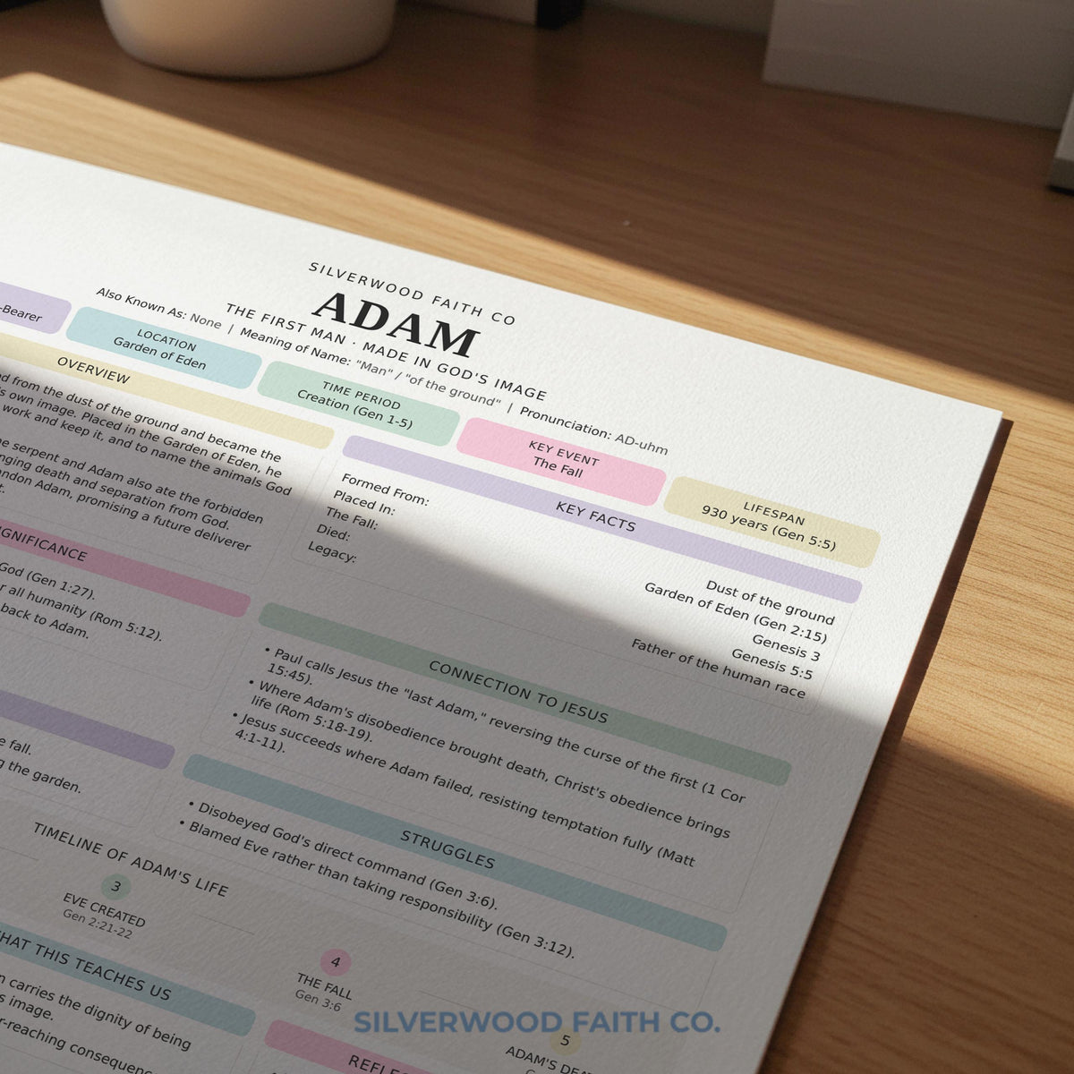 Character summary digital download featuring Adam — cozy pastel study guide poster for prayer journal and Bible workbook
