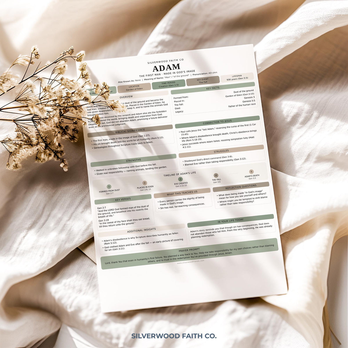 Religious character profile wall art printable — cottagecore-inspired Adam summary with key verses and family relationships diagram