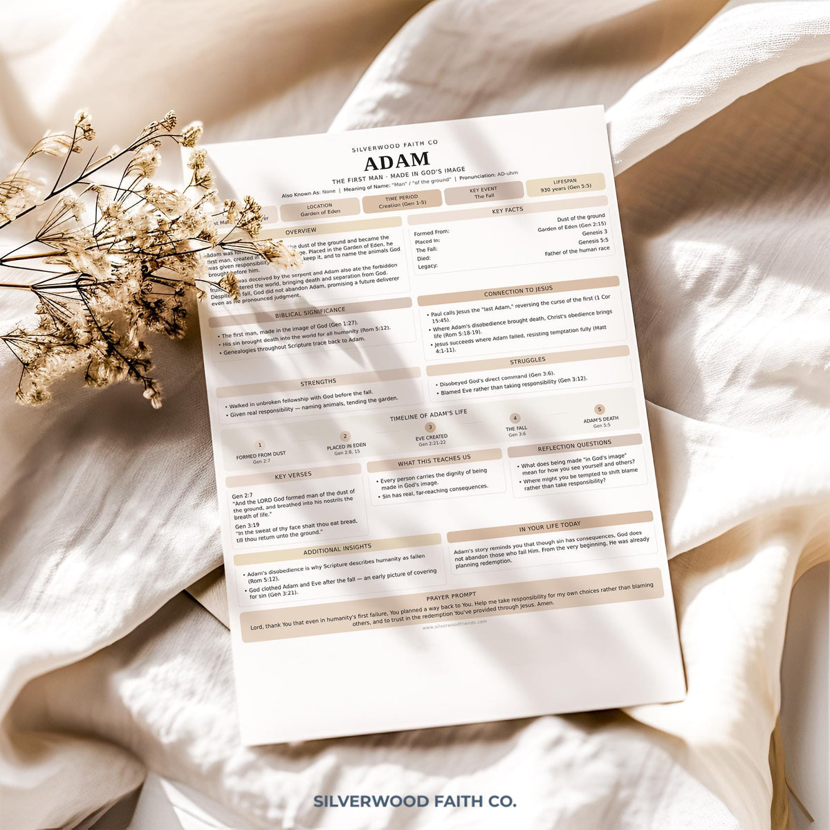 Adam scripture card printable art for prayer journal space — warm cream aesthetic with organized summary sections and faith content