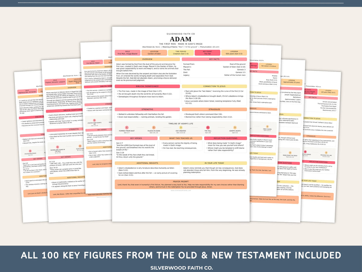 Bible Character Study: Summaries for 100 Biblical Figures, PDF Printable, PINK MEADOW (Digital Download) 518