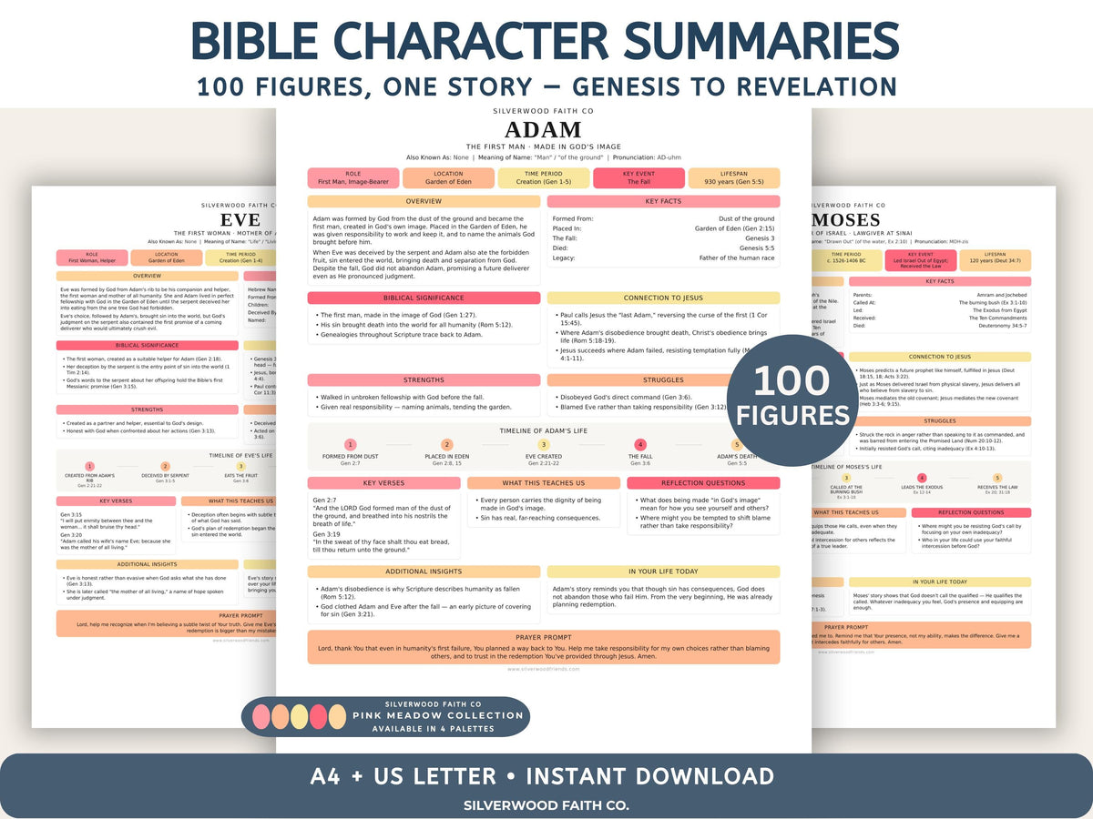 Bible Character Study: Summaries for 100 Biblical Figures, PDF Printable, PINK MEADOW (Digital Download) 518