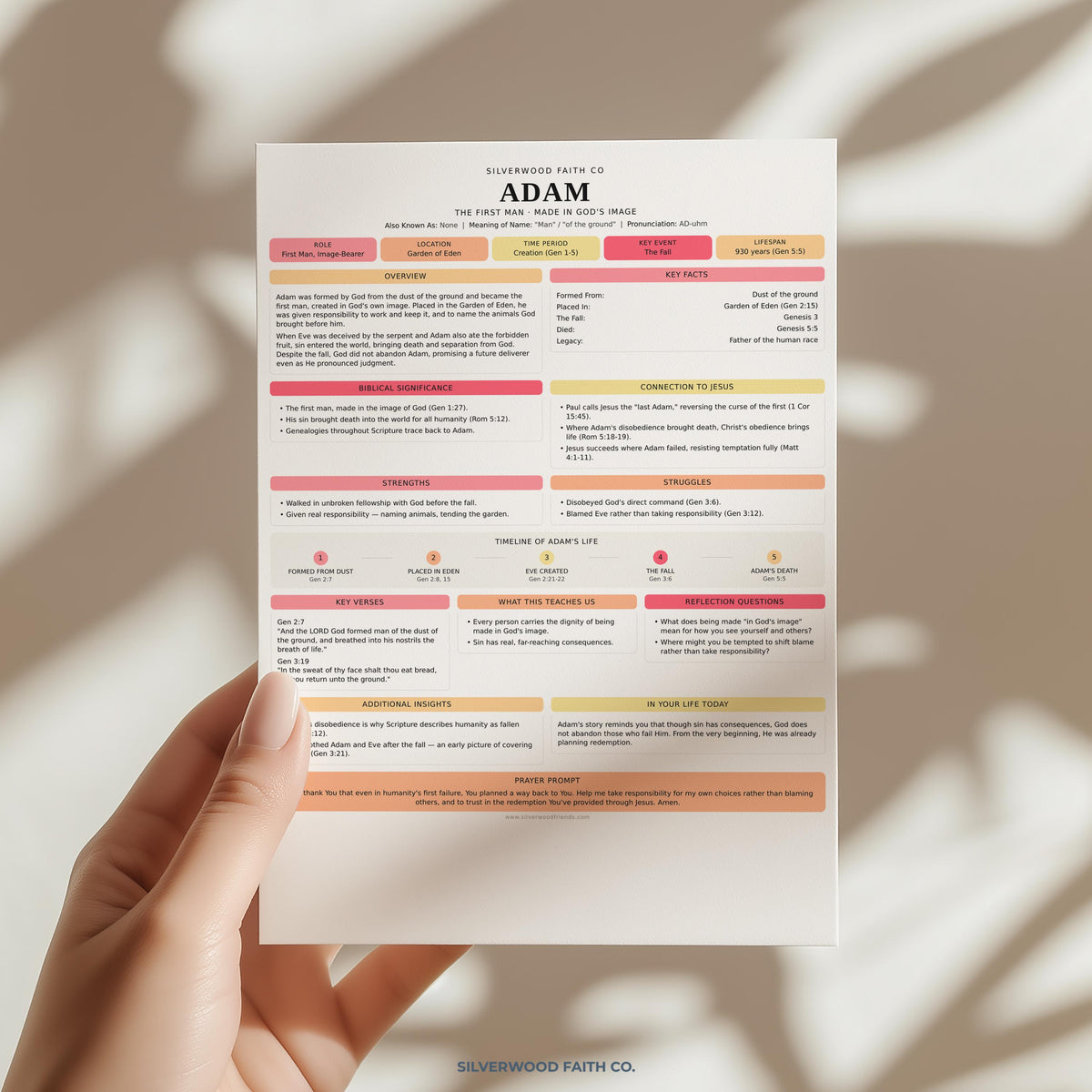 Digital download PDF wall art summarizing scripture lessons on Adam with pastel color blocks and organized text sections