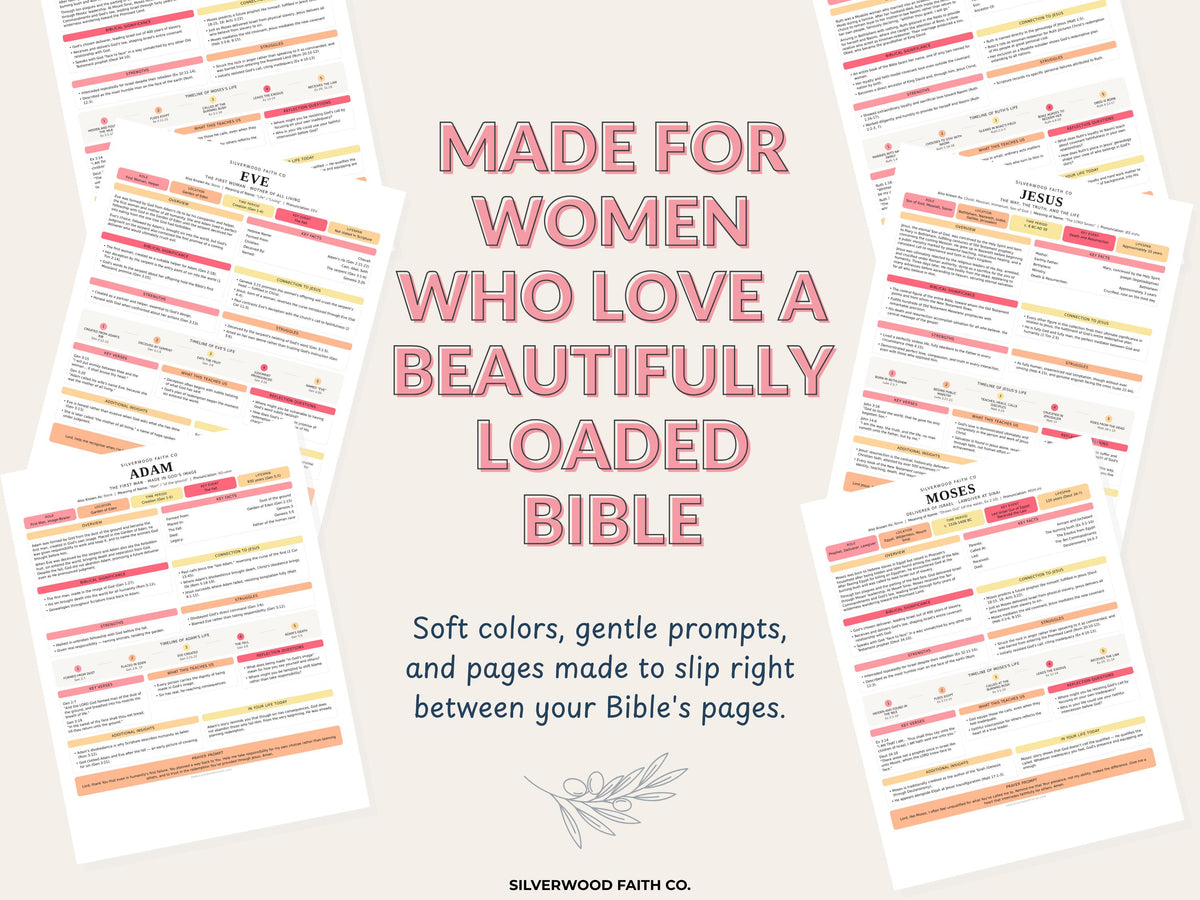 Bible Character Study Inserts: Tips Ins Summaries for 100 Biblical Figures, PDF Printable, PINK MEADOW (Digital Download) 518