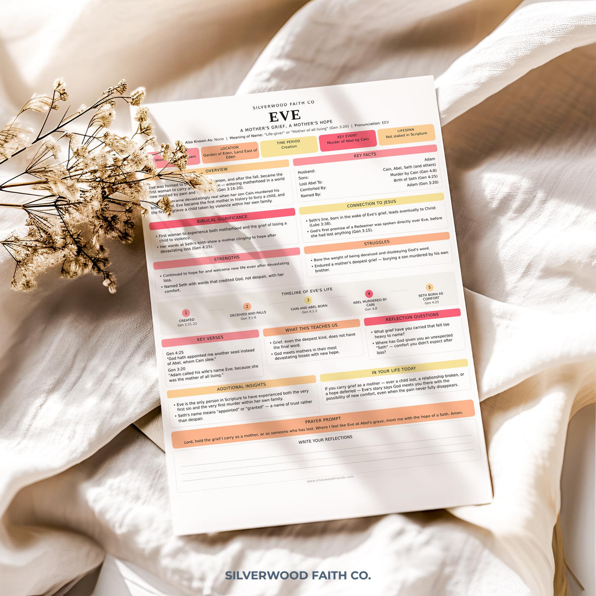 Women of the Bible study wall art with neat sectioned boxes and inspirational soft-hued design for connect group resources