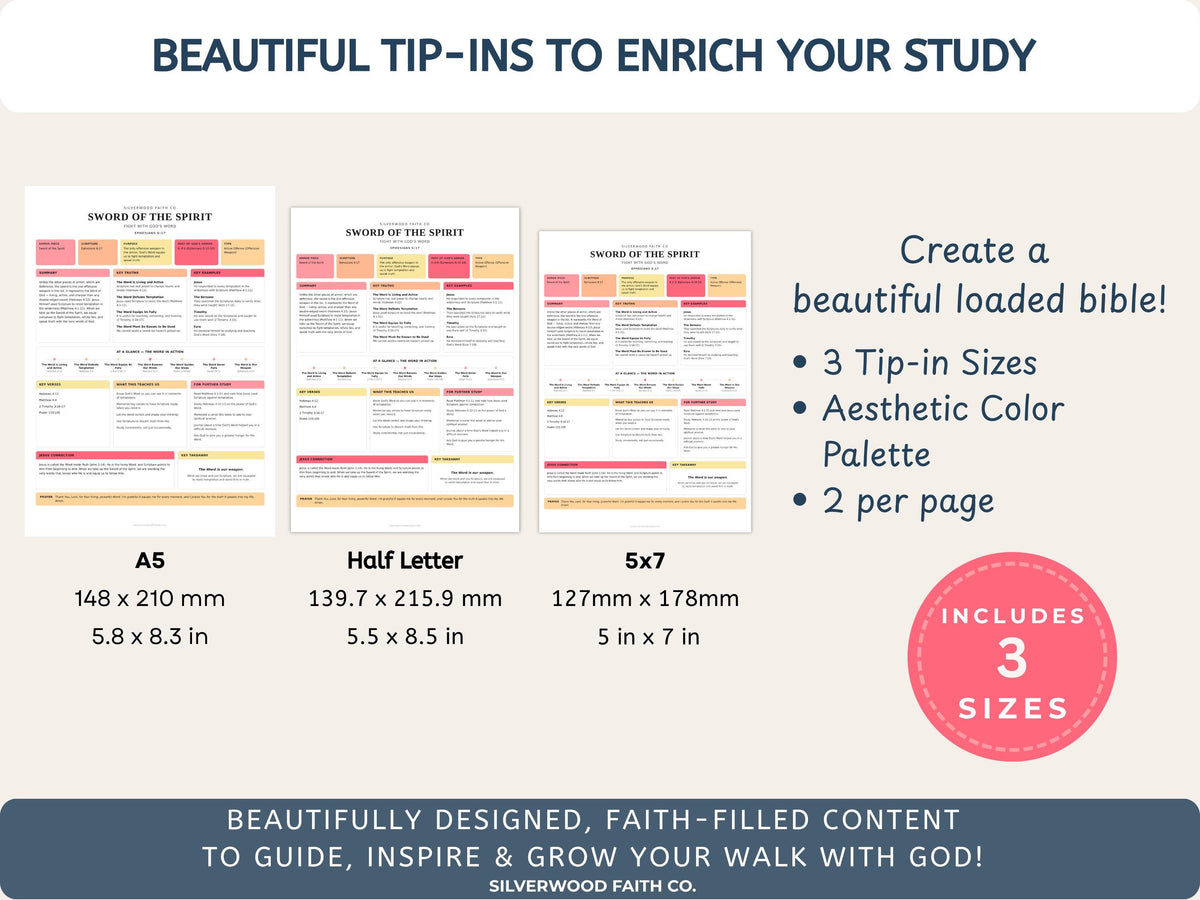 Armor Of God Bible Study Guide, Loaded Bible Tip Ins, Bible Journaling Inserts Printable PDF, PINK MEADOW (Digital Download) 636