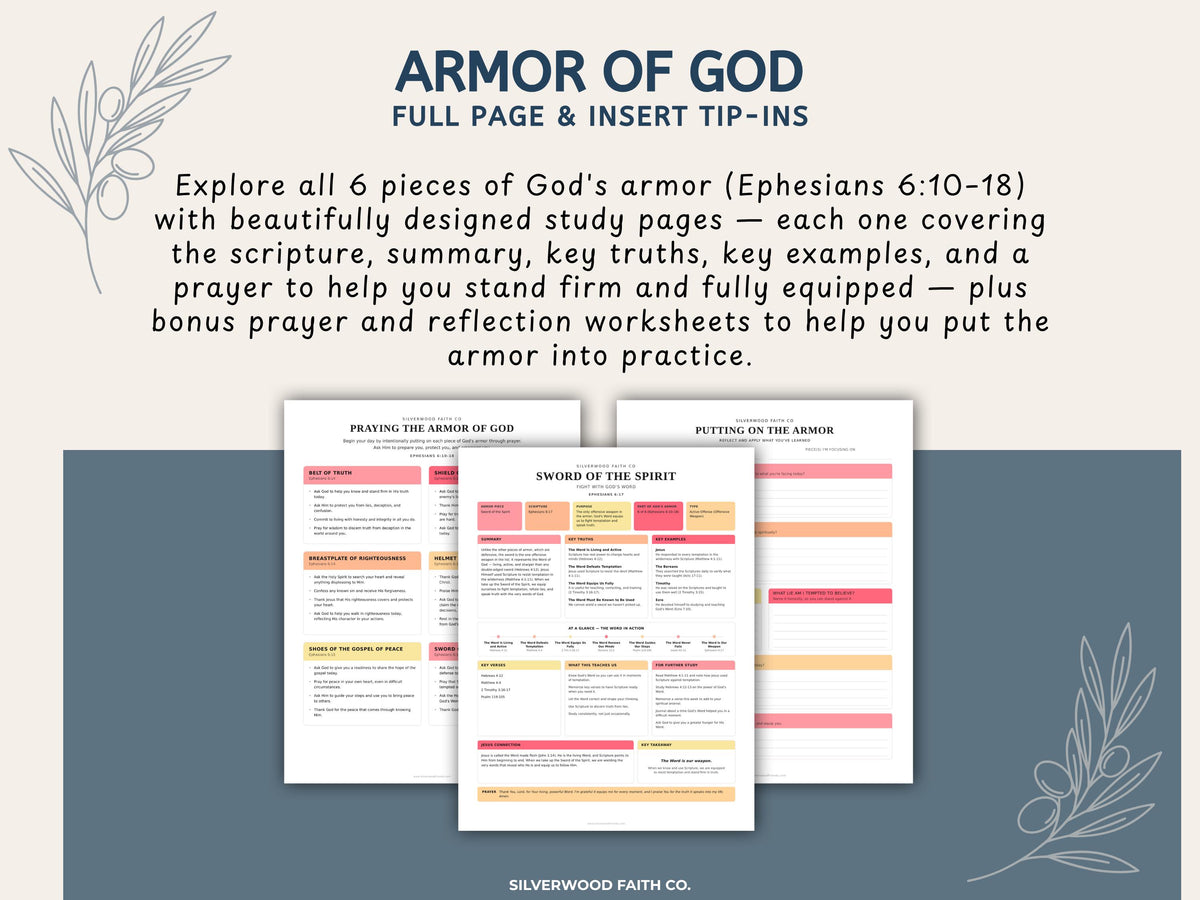 Armor Of God Bible Study Guide, Loaded Bible Tip Ins, Bible Journaling Inserts Printable PDF, PINK MEADOW (Digital Download) 636