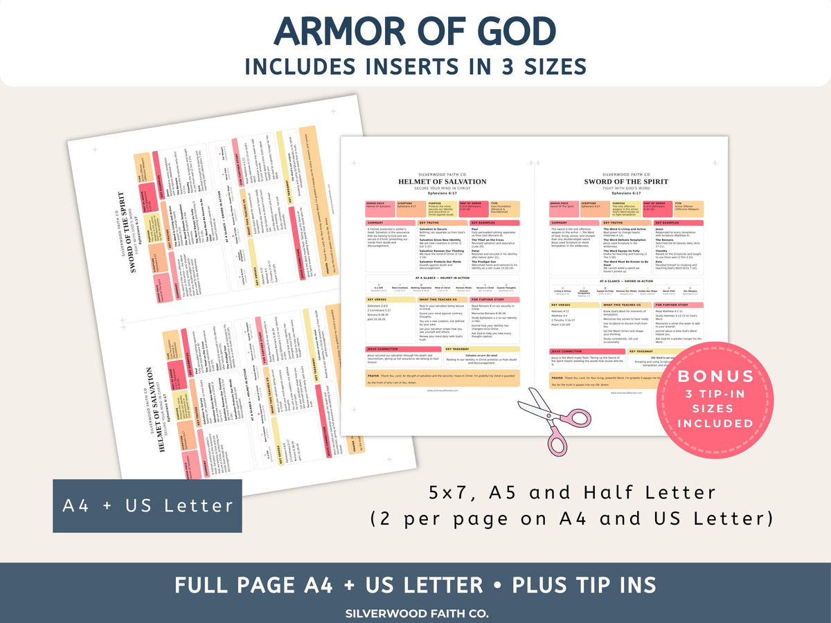 Armor Of God Bible Study Guide, Loaded Bible Tip Ins, Bible Journaling Inserts Printable PDF, PINK MEADOW (Digital Download) 636