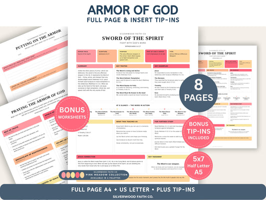 Armor Of God Bible Study Guide, Loaded Bible Tip Ins, Bible Journaling Inserts Printable PDF, PINK MEADOW (Digital Download)