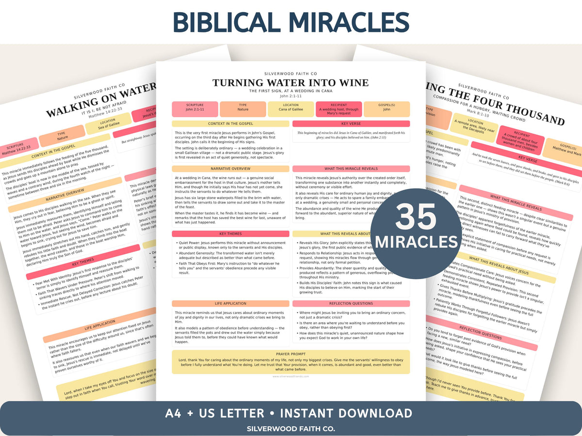 Mega Bible Study Bundle, Bible Study Guides, Bible Summaries, Sunday School Lessons, Bible Study Resource Tool (Digital Download) 497