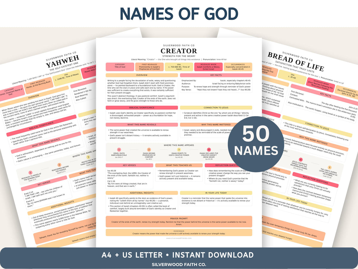 Mega Bible Study Bundle, Bible Study Guides, Bible Summaries, Sunday School Lessons, Bible Study Resource Tool (Digital Download) 497