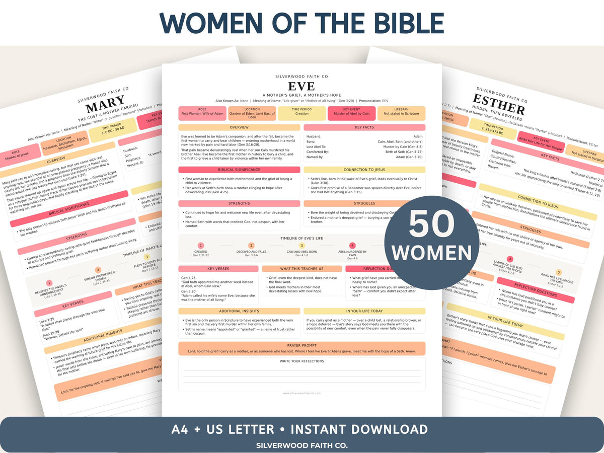 Mega Bible Study Bundle, Bible Study Guides, Bible Summaries, Sunday School Lessons, Bible Study Resource Tool (Digital Download) 497