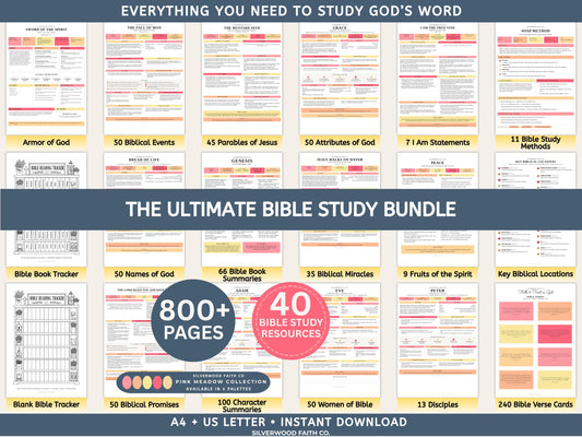 Mega Bible Study Bundle, Bible Study Guides, Bible Summaries, Sunday School Lessons, Bible Study Resource Tool (Digital Download)