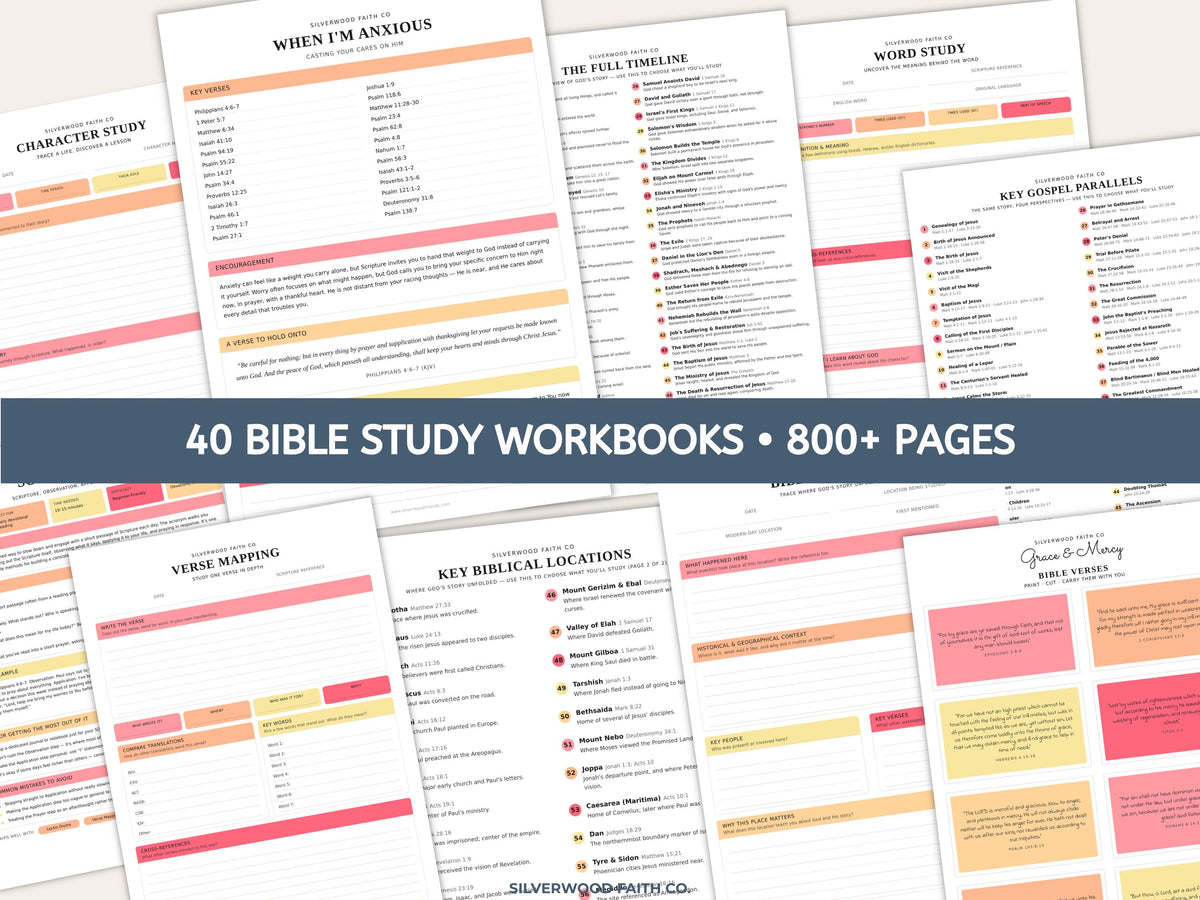 Mega Bible Study Bundle, Bible Study Guides, Bible Summaries, Sunday School Lessons, Bible Study Resource Tool (Digital Download) 497