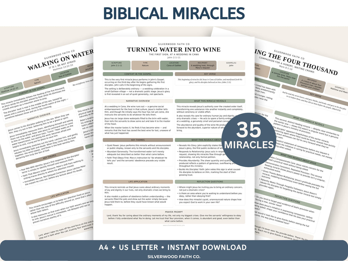 Mega Bible Study Bundle, Bible Study Guides, Bible Summaries, Sunday School Lessons, Bible Study Resource Tool, SAGE(Digital Download) 498