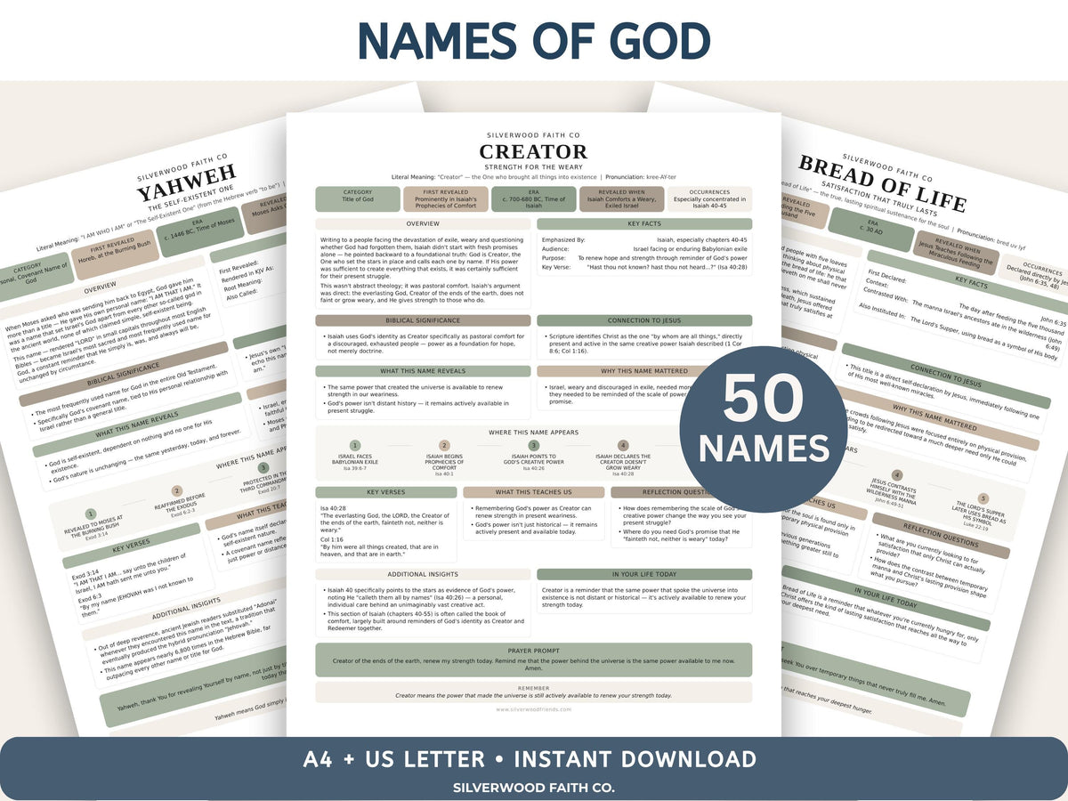 Mega Bible Study Bundle, Bible Study Guides, Bible Summaries, Sunday School Lessons, Bible Study Resource Tool, SAGE(Digital Download) 498