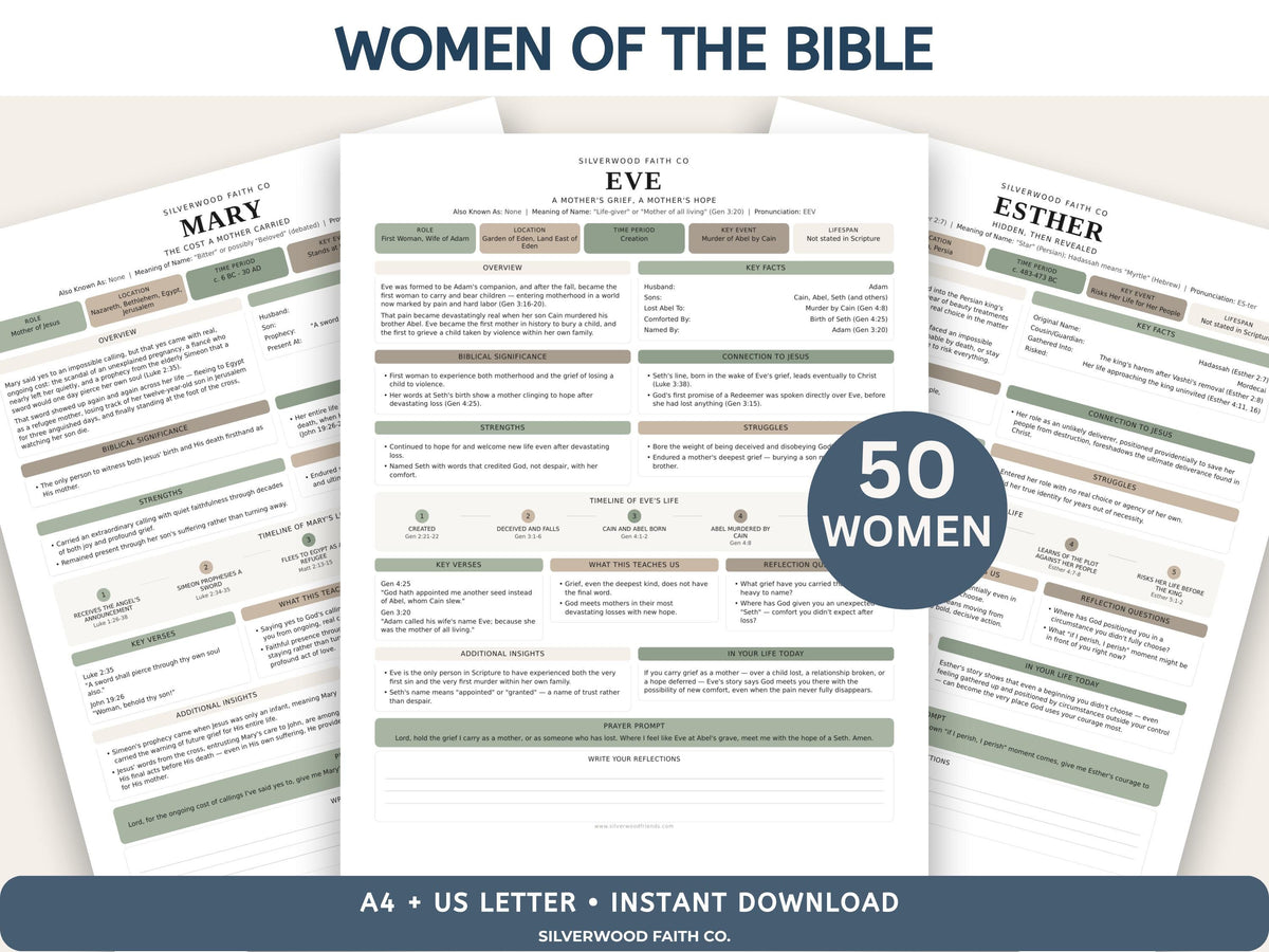 Mega Bible Study Bundle, Bible Study Guides, Bible Summaries, Sunday School Lessons, Bible Study Resource Tool, SAGE(Digital Download) 498