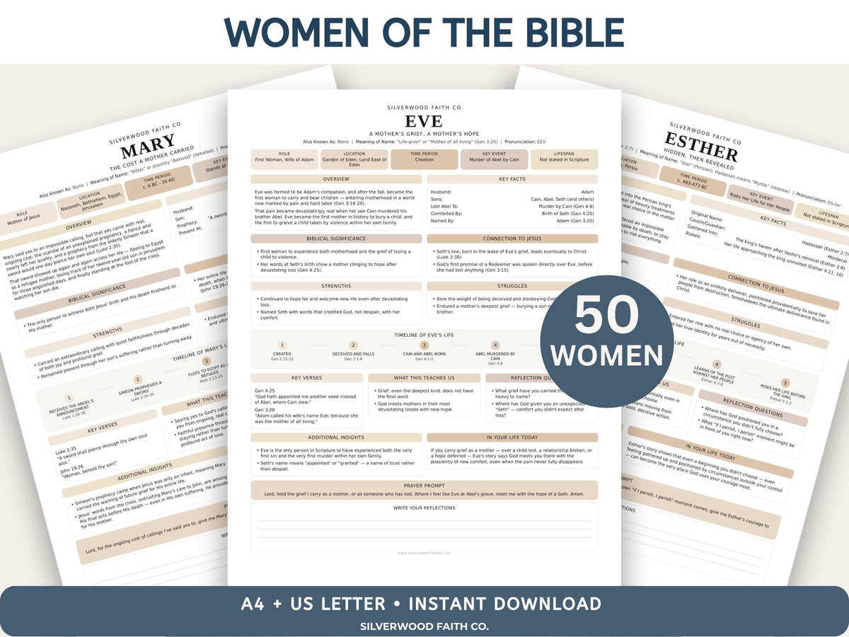 Mega Bible Study Bundle, Bible Study Guides, Bible Summaries, Sunday School Lessons, Bible Study Resource Tool (Digital Download) 496
