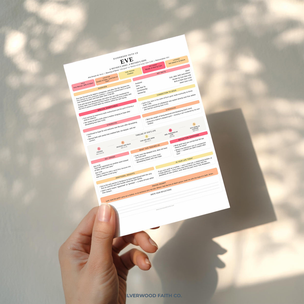 50 Women of the Bible Character Summary Inserts, Women of the Bible Tips Ins, Printable PDF, PINK MEADOW (Digital Download) 523