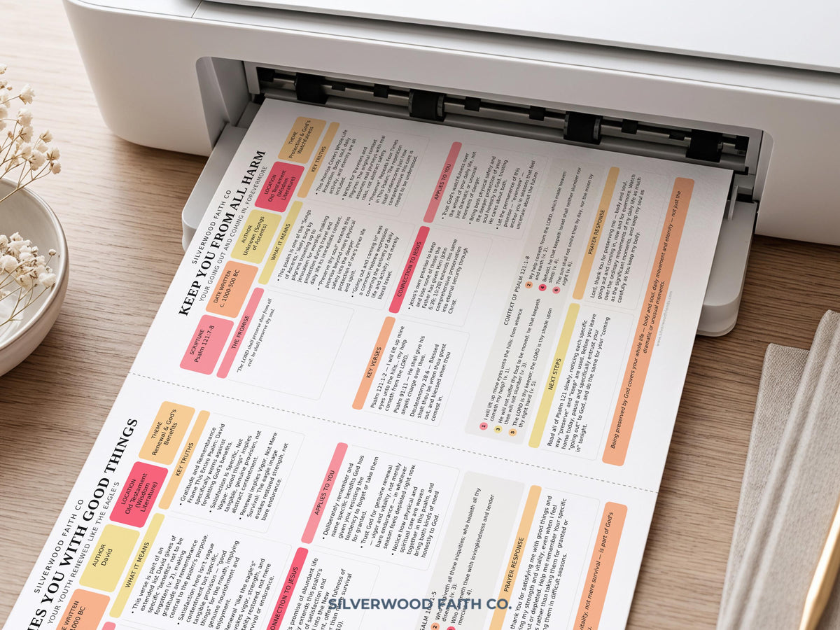 Bible Inserts Biblical Promises Summaries: 50 Promises that God Makes and Keeps, Bible Study Tip Ins, PINK MEADOW (Digital Download) 526